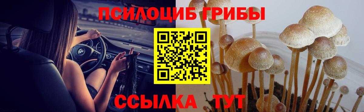 Прокопьевск  Галлюциногенные грибы прущие грибы  Галлюциногенные грибы мухоморы  Вход с VPN 